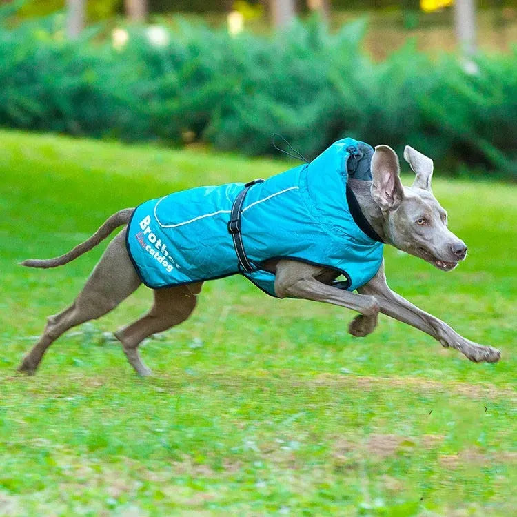 Fashionable And Simple Waterproof And Reflective Nylon Pet Jacket - Bellarte Enchanté Fashionable And Simple Waterproof And Reflective Nylon Pet Jacket